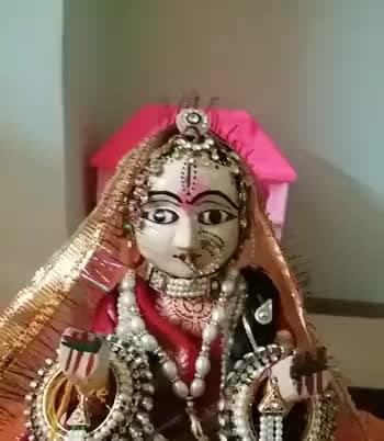 योग्य वर हेतु राजस्थान में कुंवारी कन्याओं द्वारा प्रातःकालीन अवसर पर गणगौर पूजन
#gangaur #culture #rajasthan  #life