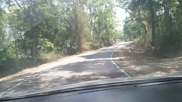 चुनावी गरमा गर्मी के बीच दक्षिण भारत की सुंदरता ने मन को शांत कर दिया है #south_इंडिया #bjp #life