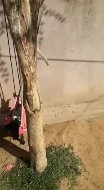 #अपना नुख्सा #उनको जिन्दगी 
#जीना इसी का #नाम