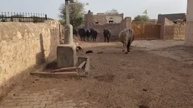 #खीवसर सिणोद नलो में नहीं आ रहा पानी गर्मी में पानी की किल्लत ,गांव के लोग परेशान#