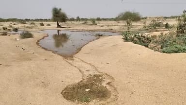 #खीवसर के पालड़ी जोधा में व्यर्थ बहता  टयुवैल का पानी, जिम्मेदारों को नहीं है परवाह#