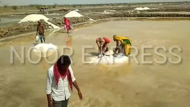 #डीडवाना  नही दे रहा कोई ध्यान , 
नमक की तेज जलन से सिसक रहे हैं 
#didwana #नागौर #nagaur #live #deedwana #noorexpress