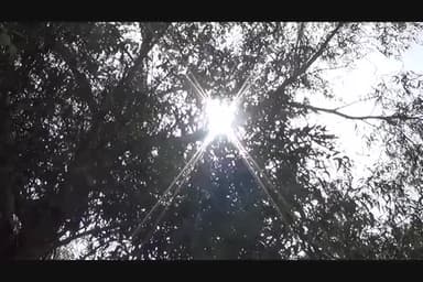 सादुलशहर में भीषण गर्मी, पारा पहुंचा 48 डिग्री के पार