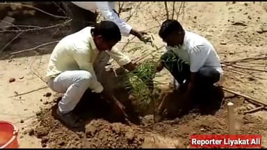 सिरोही के शिवगंज में पर्यावरण प्रेमियों द्वारा किया गया पौधरोपण