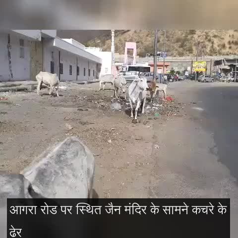 जयपुर में मंदिर के आगे लगा है कचरे का ढेर, प्रशासन नहीं दे रहा ध्यान