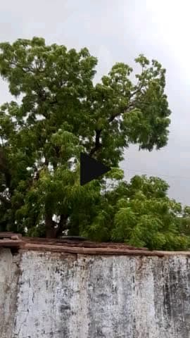गांव उलूपुरा मैं बारिश और आंधी एक साथ आई आप का दोस्त मोहन लाल मीना