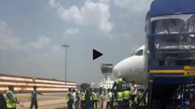 कांके: रांची एयरपोर्ट पर इंडिगो की फ्लाइट टेक ऑफ के दौरान पक्षी से टकराई, विमान की आपात लैंडिंग कराई गई