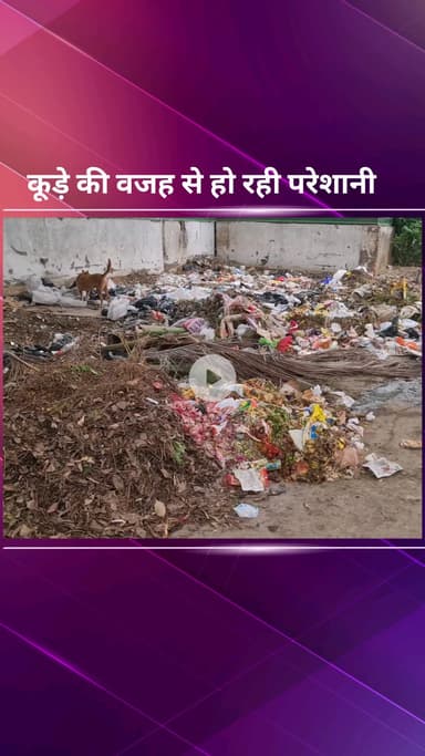 सिविल लाइन्स: चाणक्यपुरी में कूड़े के ढेर से परेशान आम लोग #jansamasya