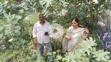 बेतिया: बेतिया में महापौर ने नालों की सफाई कार्य का किया निरीक्षण