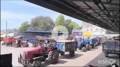 धार: कृषि उपज मंडी धार में आज गेहूं सहित अन्य उपजों की हुई बम्पर आवक