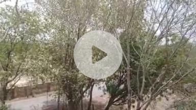 झांसी: जिले में तीन दिन बारिश के आसार, पारा दो से चार डिग्री तक लुढ़केगा