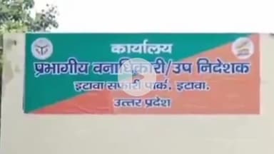 इटावा: इटावा सफारी पार्क में बब्बर शेरनी अस्वस्थ व नहीं ले रही आहार, वन्यजीव चिकित्सकों द्वारा किया जा रहा उपचार