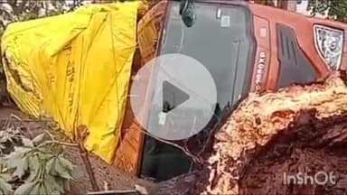 गोपालगंज: बंजारी गांव के पास हाईवे किनारे ट्रक पर गिरी पेड़ की टहनी, चालक घायल