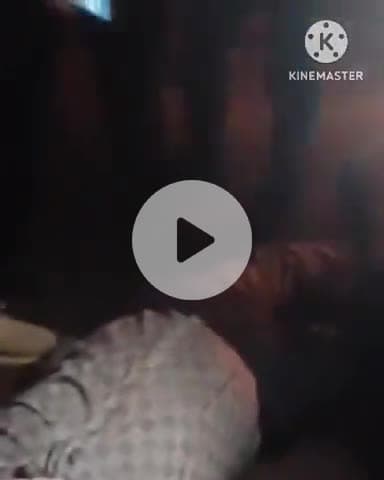 बिल्हौर: पिपरी रोड पर दो बाइकों की आपस में टक्कर, दोनों गंभीर रूप से घायल