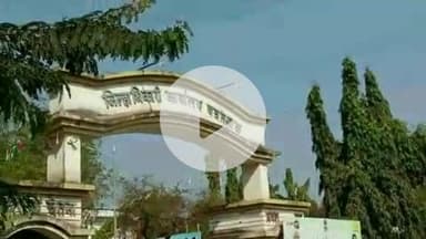 यवतमाळ: खाजगी इंग्रजी शाळांमधील अपात्र शिक्षक व संस्था चालकावर कारवाईची मनसे विद्यार्थी सेनेची जिल्हाधिकाऱ्यांकडे मागणी