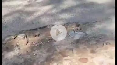 ਨਵਾਂਸ਼ਹਿਰ: ਮਹਿੰਦੀਪਰ ਤੋਂ ਨਵਾਂ ਸ਼ਹਿਰ ਰੋਡ ਨੂੰ ਜਾਣ ਵਾਲੀ  ਟੁੱਟੀ ਹੋਈ ਸੜਕ ਦੇ ਰਹੀ ਹੈ ਹਾਦਸੇ ਨੂੰ ਸੱਦਾ, ਲੋਕਾਂ ਨੇ ਬਣਾਉਣ ਦੀ ਕੀਤੀ ਮੰਗ #jansamasya