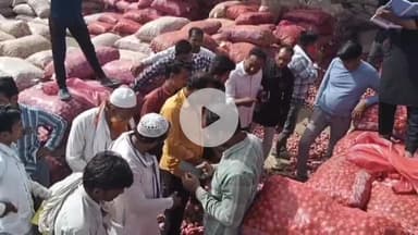 शाजापुर: शाजापुर की कृषि उपज मंडी में 17758 क्विंटल प्याज की हुई आवक, ₹200 से लेकर ₹1100 प्रति क्विंटल तक रहे भाव