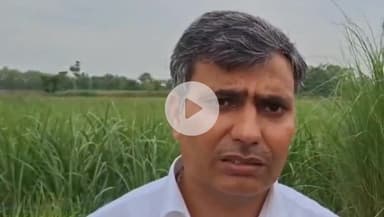 बहराइच: महसी इलाके में जंगली जीव के हमले में हुई मासूम की मौत के मामले में टीम गठित कर की जा रही है जांच: डीएफओ बहराइच