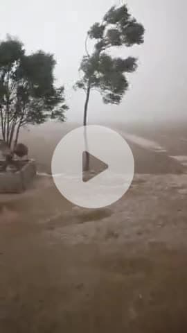 रायसिंहनगर: रायसिंहनगर क्षेत्र में तेज तूफान का कहर, अलग-अलग जगह पर पेड़ टूटे और अन्य नुकसान हुआ