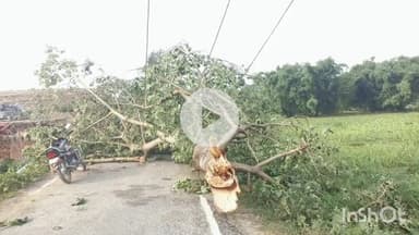 घैलाढ़: घैलाढ में आंधी-बारिश से गिरे बिजली पोल व पेड़, जनजीवन अस्त-व्यस्त