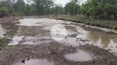 सीतामऊ: मंदसौर जिले में सुबह से झमाझम बारिश, खजुरी आंजना में खाल में उफान, तेज़ी से आया पानी