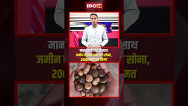 मानसून की एंट्री के साथ जमीन से निकलने लगा सोना, 2000 रुपये तक कीमत..#shorts #viralnews #knowledge