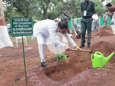सारंगपुर: राज्यमंत्री गौतम टेटवाल ने पचमढ़ी में कैबिनेट बैठक के बाद 'एक पेड़ मां के नाम' अभियान के तहत लगाया पौधा