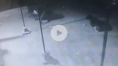 ओरमांझी: ओरमांझी थाना क्षेत्र के हुटूप गांव से गाय की चोरी, घटना सीसीटीवी में कैद