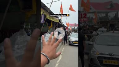 Darjeeling Tea Garden ❤️#darjeeling #teagarden #hellocultureindia