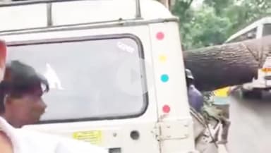 देहरादून: एफआरआई के पास हुए हादसे में एक जीप पर गिरा पेड़, एक की मौत और एक घायल