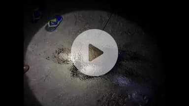 बहादुरगढ़: गांव निलोठी के पास गुड़गांव माइनर में मिला युवक का अर्धनग्न शव