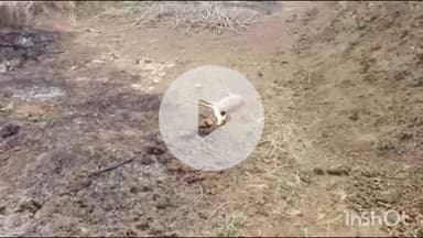 आरा: सलेमपुर बधार में मिला हिरण का शव, नोची गईं आंखें और पिछले हिस्से में गंभीर चोट