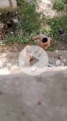 सीतापुर: रामकोट में सीतापुर पुलिस ने खाकी को शर्मसार किया, अवैध वसूली के पैसों के लिए झगड़ते सिपाही और दरोगा का वीडियो वायरल