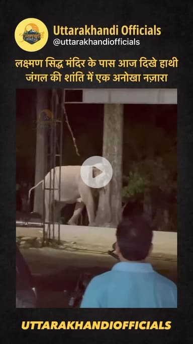 लक्ष्मण सिद्ध मंदिर के पास आज दिखे हाथी 
जंगल की शांति में एक अनोखा नज़ारा