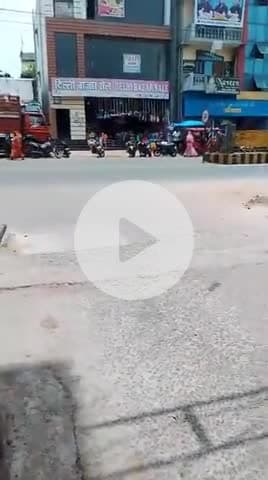 Lucky fish aquarium and bicycle studio link road Bina (MP)9340092330