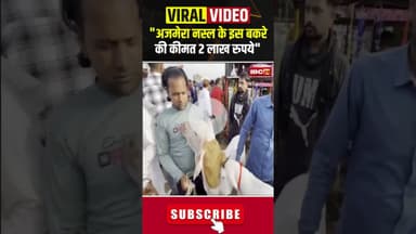 'अजमेरा नस्ल के इस बकरे की कीमत 2 लाख रुपये' #bakrid #muslim #goat #eid #viralvideo #ytshorts #short