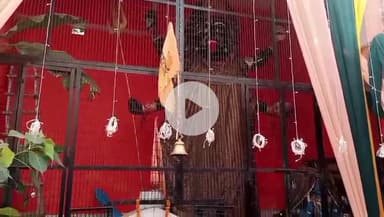 धनौरा: गजरौला के मोहल्ला टीचर्स कॉलोनी में स्थित मां काली के मंदिर पर भजन कीर्तन एवं रामायण का आयोजन हो रहा है