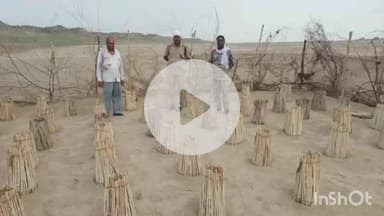 पोरसा: चम्बल नदी के उसेथ घाट पर वन विभाग कछुओं के अंडों की सुरक्षा में जुटा