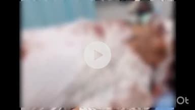 कोल: सिंधौली में प्रॉपर्टी डीलर की ईटों से पीट कर हत्या मामले में परिजनों ने जीटी रोड किया जाम, एंबुलेंस बीचो-बीच खड़ी