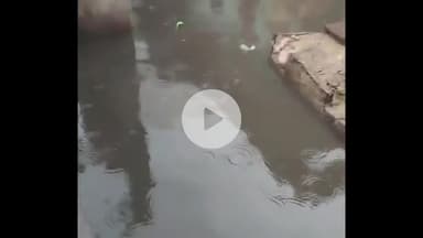 दमोह: पहली बारिश में खुली नगर पालिका दमोह की पोल, शहर का बस स्टैंड बना तालाब