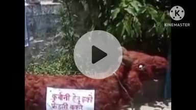 हुज़ूर: भोपाल: बकरीद से पहले संस्कृति बचाओ मंच ने मुस्लिम समाज से इको फ्रेंडली ईद मनाने की अपील की