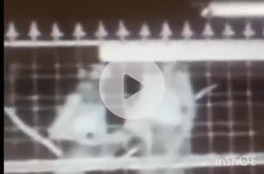 बाली: फालना में घर के अंदर से बाइक चोरी, तीन बदमाशों ने वारदात का अंजाम दिया, सीसीटीवी में दिखे बदमाश