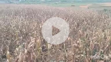 प्राणपुर: खुशालपुर गांव के ललीता देवी ने फर्जी दाखिल खारिज करने पर लगाई रोक कि मांग।#jila prshasan.