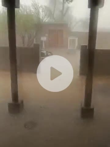 अनूपगढ़: तेज हवा, बरसात और ओलावृष्टि से गांव 72 जीबी सहित अन्य गांवों में फसलों को हुआ नुकसान