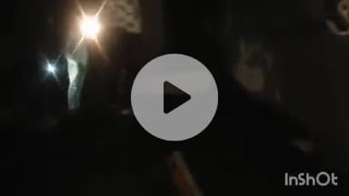 शाजापुर: बेरछा रोड पर आला उमरोद के पास टायर फटने से आयशर वाहन से टकराया ट्रैक्टर