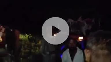 पलिया: संपूर्णा नगर वन रेंज क्षेत्र में गांव में नल पर पानी भर रही महिला को बाघ ने बनाया शिकार