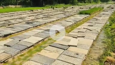 தஞ்சாவூர்: மேட்டூர் அணை திறக்க உள்ள நிலையில் விதை நெல் விலை உயர்ந்துள்ளதாக வல்லம் பகுதிகளில் விவசாயிகள் வேதனை #localissue