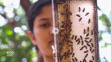 मधुमक्खियों से प्यार, खड़ा किया लाखों का कारोबार