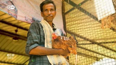 भारत में फ्री-रेंज मुर्गीपालन से किसानों की अच्छी कमाई