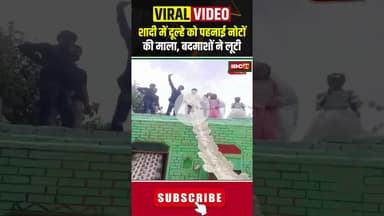 शादी में दूल्हे को पहनाई गई नोटों की माला, बदमाशों ने लूटी #rajasthan #bhiwadi #wedding #bride #cg